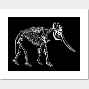 Elephant Skeleton Posters and Art